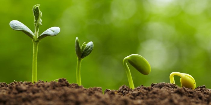 چرا تغییر کردن دردسر دارد؟ - - - برنامه ریزی رژیم چرا تغییر کردن دردسر دارد؟تغییر کردن رژیم لاغری