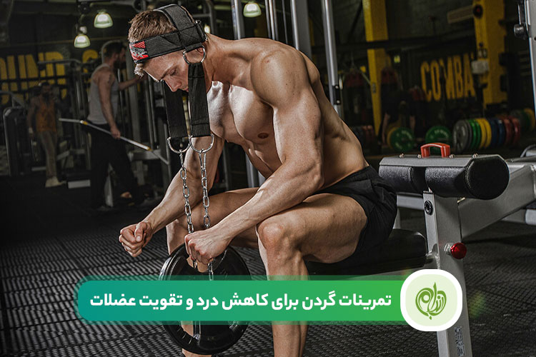 تمرینات گردن