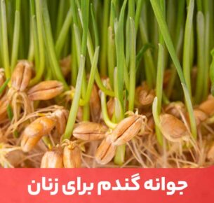 استفاده مداوم از جوانه گندم برای زنان، یک راه عالی برای کمک به حداکثر رساندن رشد مو و سلامت آن است.