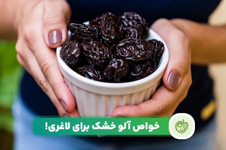 مقاله گنجاندن آلو خشک برای لاغری، راهی ساده در تنظیم رژیم غذایی است.