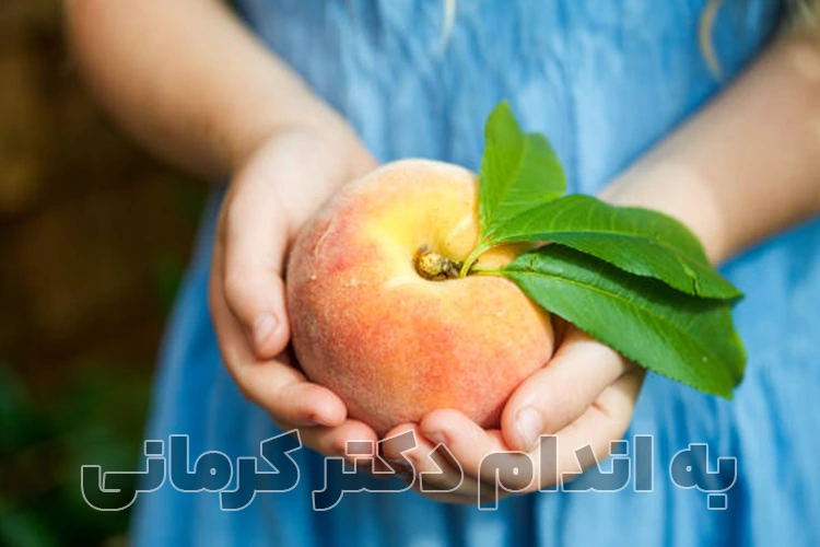 تاثیر هلو در کاهش وزن و لاغری