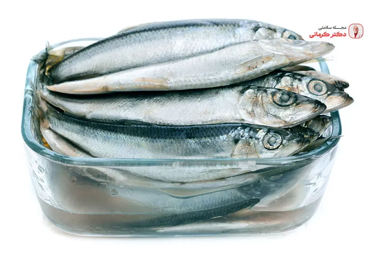 ماهی طبع سرد در ایجاد سردی مزاج مغز موثر است.