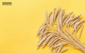 غلات کامل یکی از اصلی ترین اجزاء یک برنامه غذایی سالم هستند که فواید بسیار زیادی برای بدن دارند.