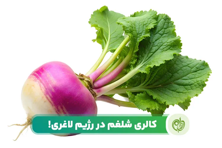 مقاله کالری شلغم جزو کالری های بسیار پایین در مواد غذایی است.