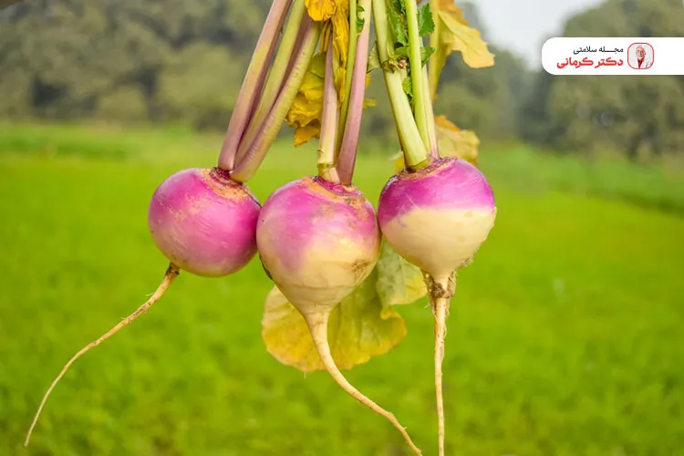 شلغم دارای مقادیر قابل توجه ویتامین سی می‌باشد.