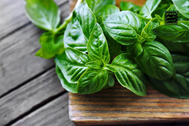سبزی خوردن برای لاغری خوبه؟