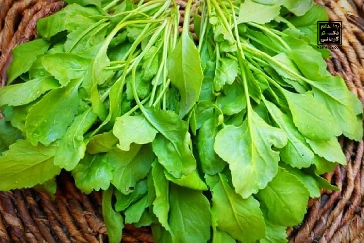 سبزی خوردن برای لاغری خوبه؟