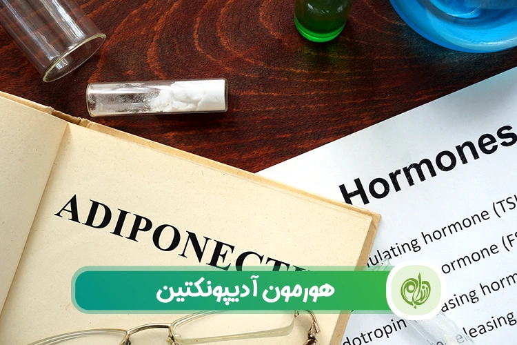 مقاله نقش هورمون آدیپونکتین در تنظیم متابولیسم چربی و قند