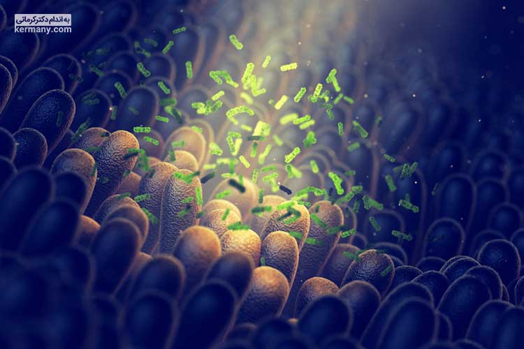پروبیوتیک‌ها یا باکتری‌های خوب به طور طبیعی در بدن ما زندگی می‌کنند.