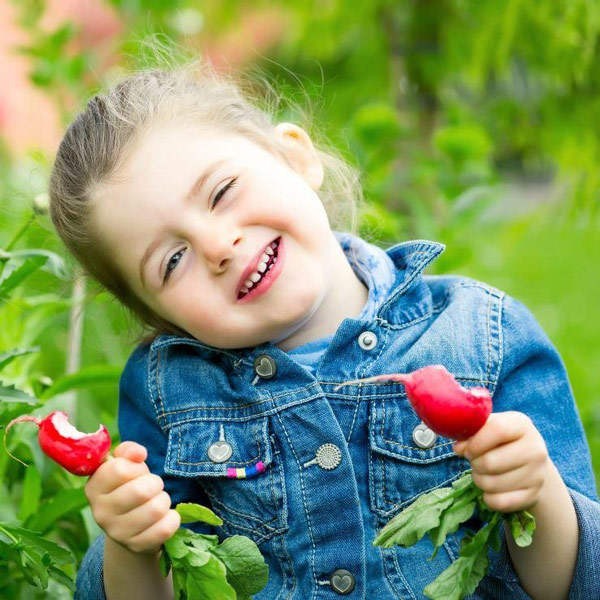 از این 5 غذا در بهار غافل نشوید - - غذا در بهار - عادات غذایی از این 5 غذا در بهار غافل نشوید