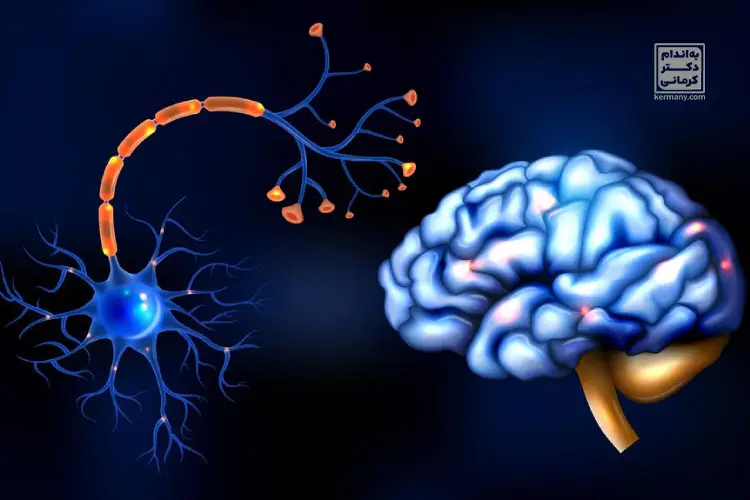 کافئین چگونه بر سیستم‌ بدن تاثیر می‌گذارد؟