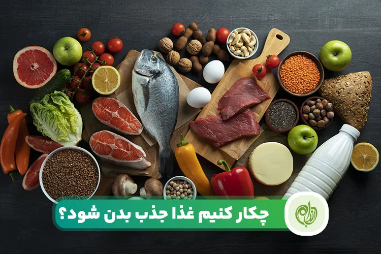 مقاله چکار کنیم تا غذا جذب بدن شود؟