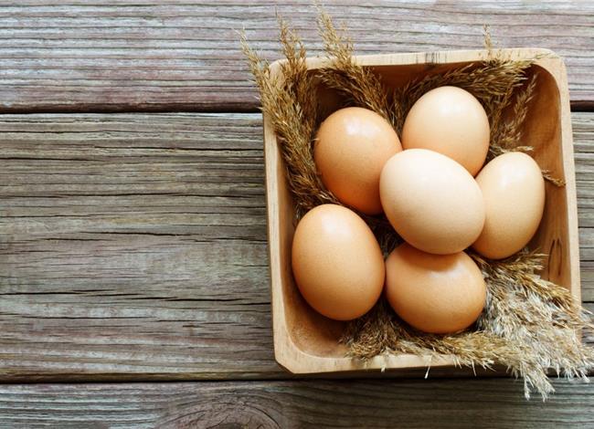 تخم مرغ قهوه ای یا سفید؟ کدام بهتر است؟ تغذیه سالم رژیم لاغری