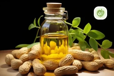 خواص روغن بادام زمینی چیست؟