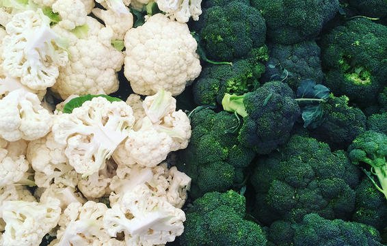 قانون های غذایی برای بهبود سلامت تیروئید رژیم لاغری دکتر کرمانی