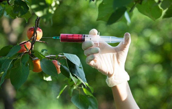 قانون های غذایی برای بهبود سلامت تیروئید رژیم لاغری دکتر کرمانی