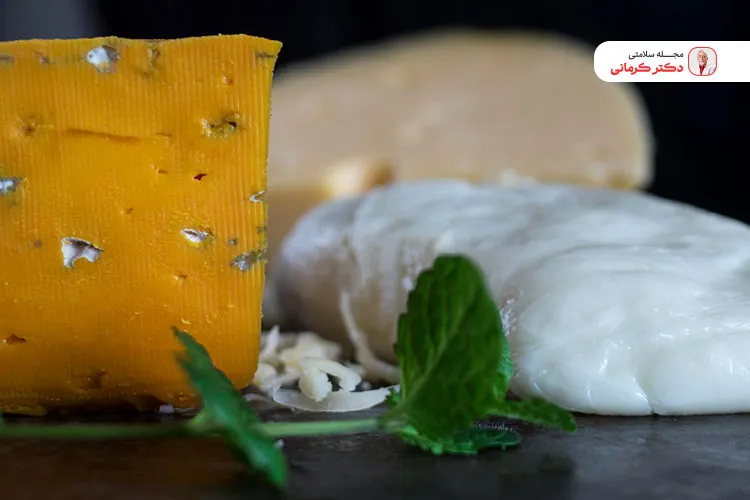 پروتئین های مفید برای لاغری