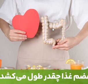 فرآیند هضم غذا و دریافت انرژی مورد نیاز برای عملکرد بهتر بدن، بسیار با‌اهمیت است.