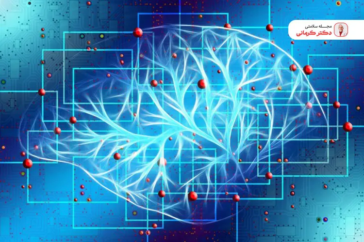 تهوع بارداری ممکن است به سیستم عصبی بدن و افزایش هورمون سروتونین مرتبط باشد.