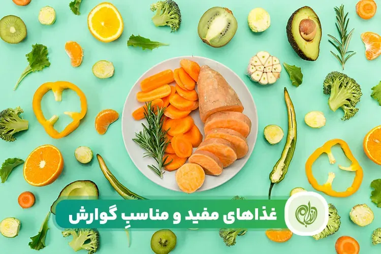 مقاله غذاهای مفید برای معده مانع ابتلا به بیماری های گوارشی میشوند.