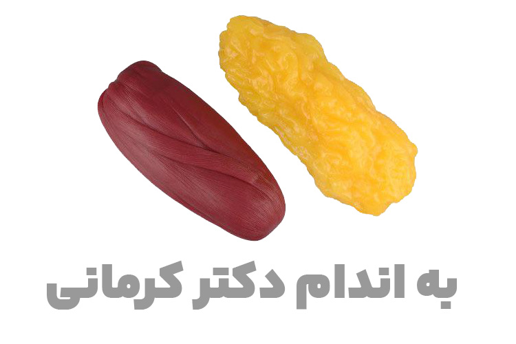 عضله و چربی