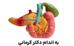نقش پانکراس در لاغری