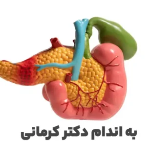 نقش پانکراس در لاغری