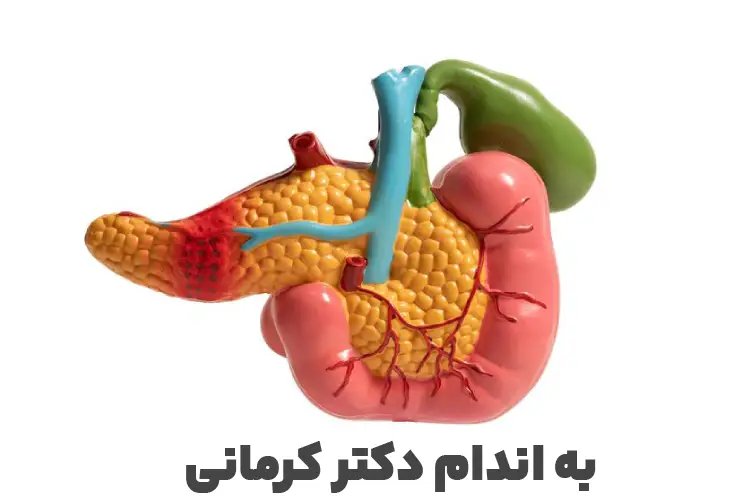 نقش پانکراس در لاغری
