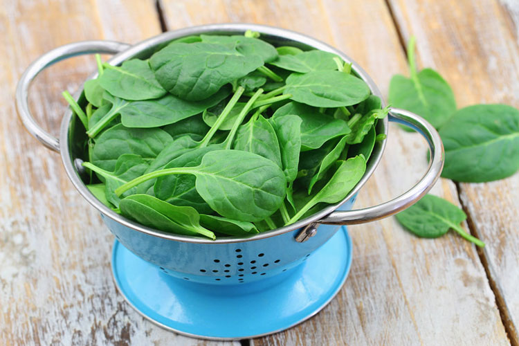 nutritionfaceoffrawvscookedspinachraw مجله سلامتی دکتر کرمانی