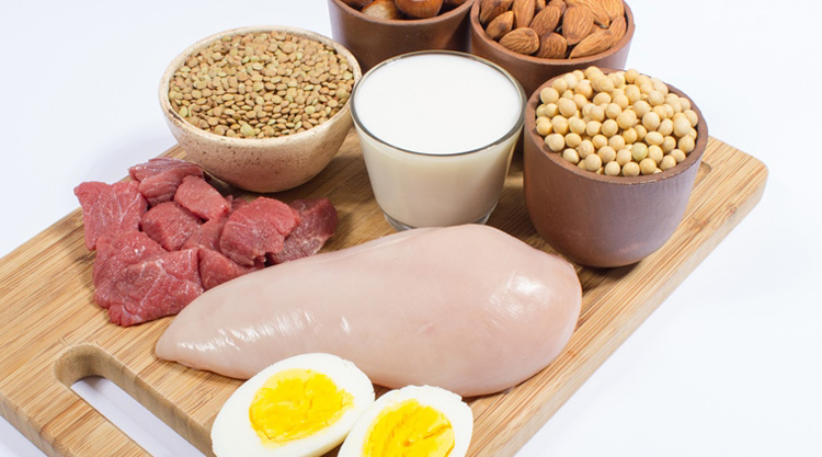کالری و پروتئین