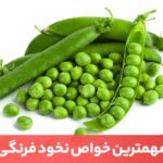 مقاله خواص نخود فرنگی برای کاهش دیابت و مشکلات قلبی موثر و مفید است.
