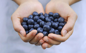 بلوبری و لاغری