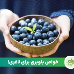 مقاله فواید بلوبری برای لاغری و کاهش وزن