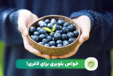 مقاله فواید بلوبری برای لاغری و کاهش وزن