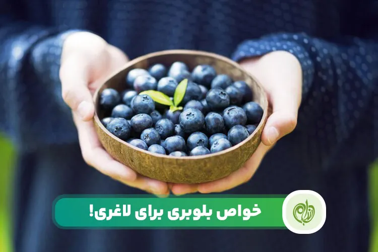 فواید بلوبری برای لاغری و کاهش وزن