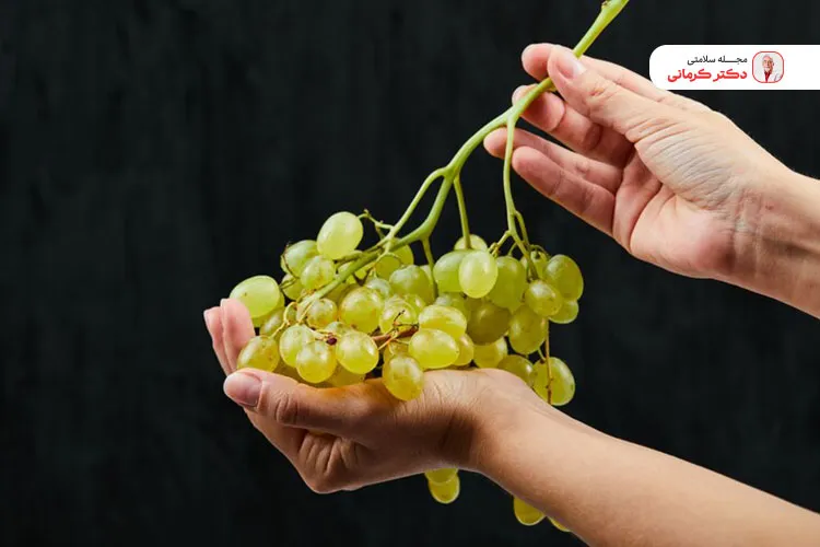 در برنامه غذایی کاهش وزن می‌توانید به اندازه تعادل انگور میل کنید.