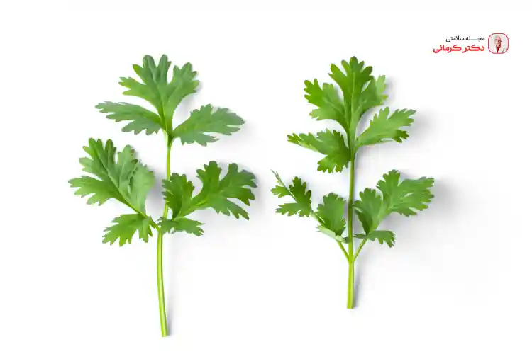 جعفری برای افزایش سوخت و ساز