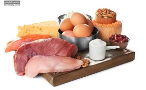 رژیم غذایی کم پروتئین یا پروتئین بالا