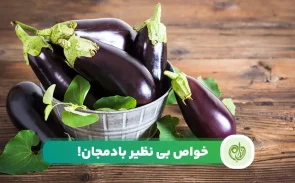 خواص بادمجان برای سلامتی بدن