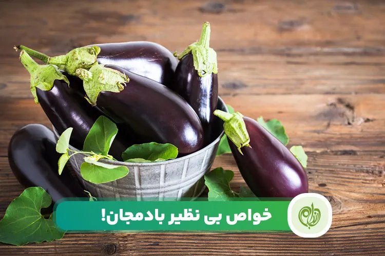 مقاله خواص بادمجان برای سلامتی بدن