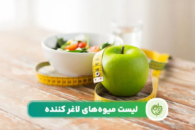 مقاله میوه‌ های لاغر کننده با داشتن کالری کم و فیبر فراوان، نقش مهمی در کنترل اشتها و بهبود سوخت‌ و ساز بدن ایفا می‌کنند.