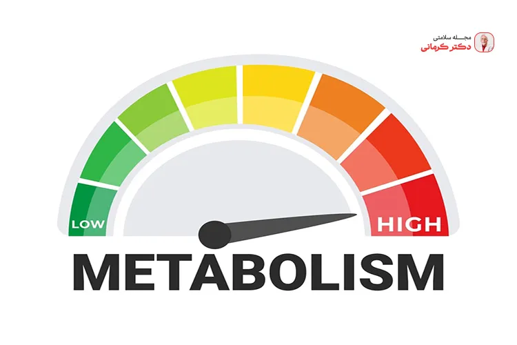 کالری سوزی بیشتر به سبک زندگی و تغذیه سالم وابسته است.
