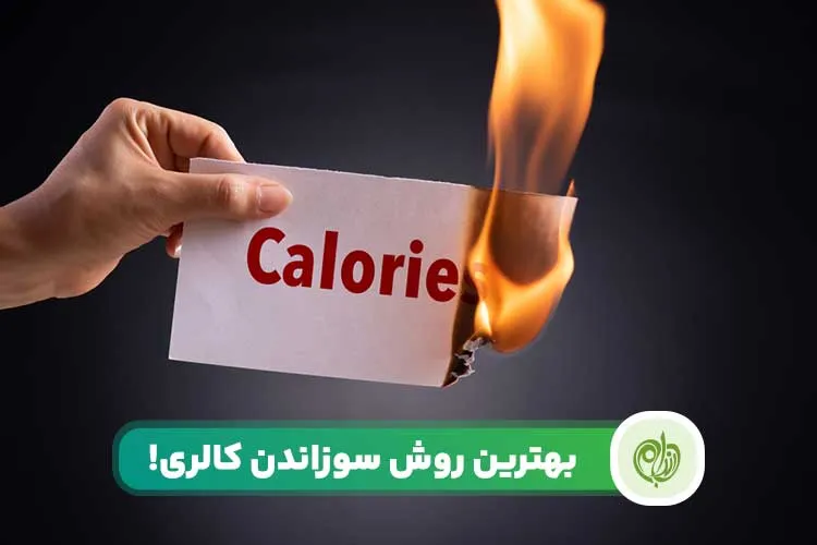 مقاله سوزاندن کالری