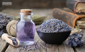 معجون لاغری