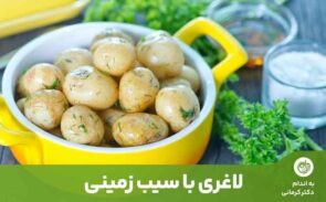 رژیم سیب‌زمینی یا برنامه‌غذایی سیب‌زمینی، یک رژیم کوتاه مدت است که روال متعادلی مانند رژیم‌های غذایی دیگر را ندارد.