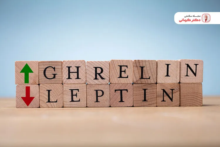لپتین سیری را به مغز اعلام و اشتها را کم می‌کند.