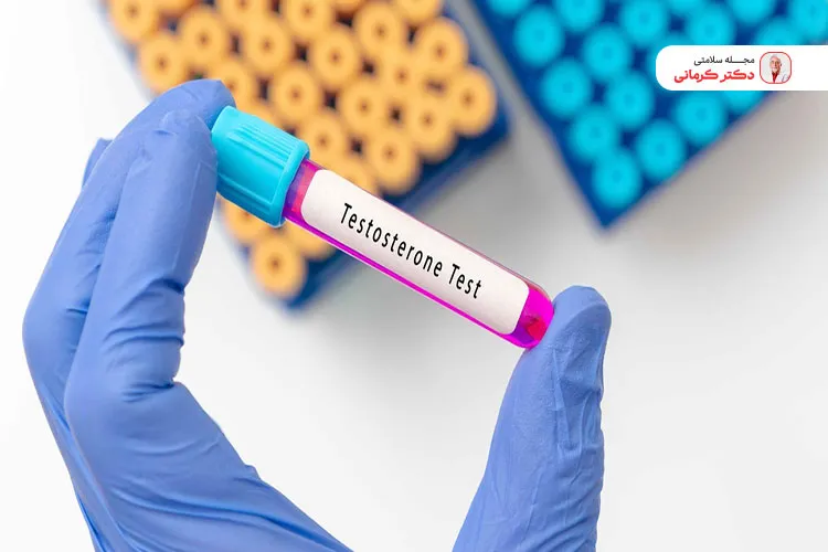 تستوسترون عضله‌سازی و سوخت و ساز چربی را افزایش می‌دهد.