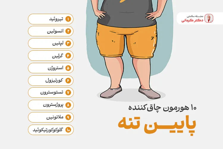 ده هورمون موثر در چاقی پایین تنه
