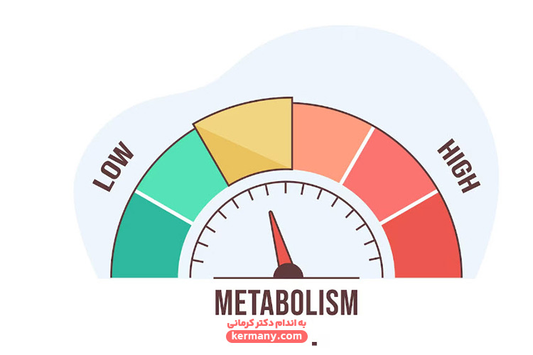 عوامل افزایش متابولیسم