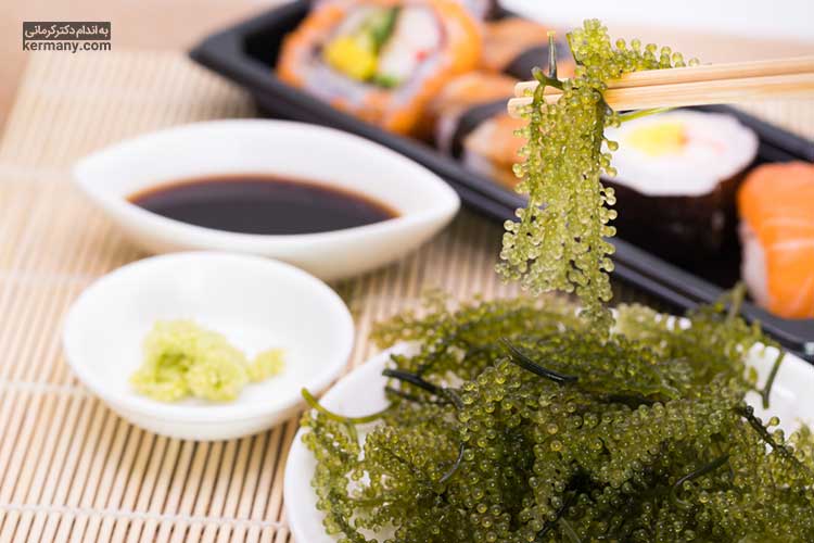 یکی از اصلی ترین بخش های برنامه غذایی رژیم اوکیناوا، مصرف انواع جلبک های دریایی است.